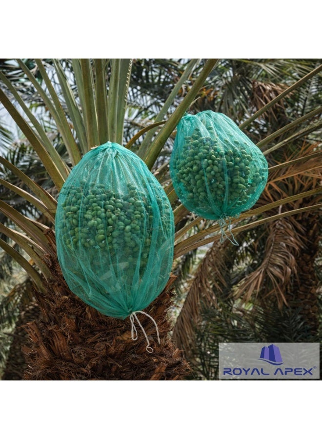 Royal Apex حقيبة شبكة حماية نخيل التمر 70x80 سم بحبل أسود قوي - حقيبة تغطية تمر كاجور قابلة لإعادة الاستخدام لحماية التمر من الطيور والغبار والحشرات - شبكة حصاد حديقة متينة - Image 4