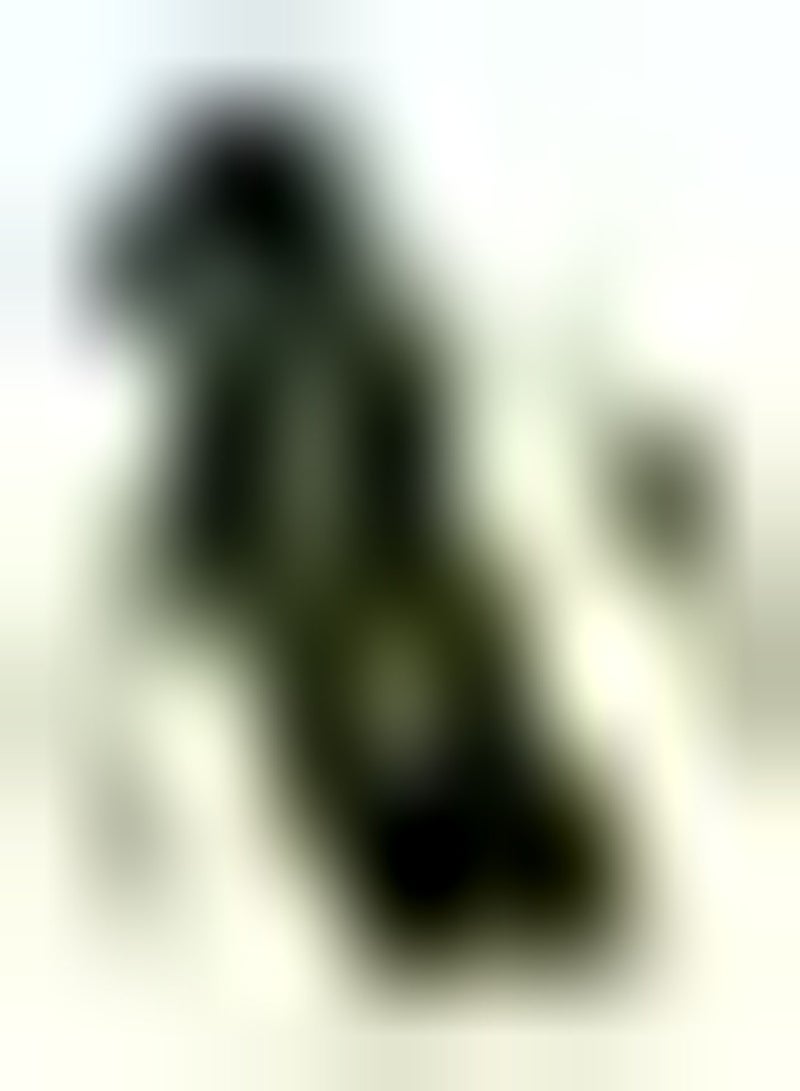 GGOOT 30 Gurkensamen für Familienbetriebe die reines natürliches grünes Gemüse pflanzen Einfach zu pflanzen wartungsarm genießen Sie die Freude an der Ernte - Image 1