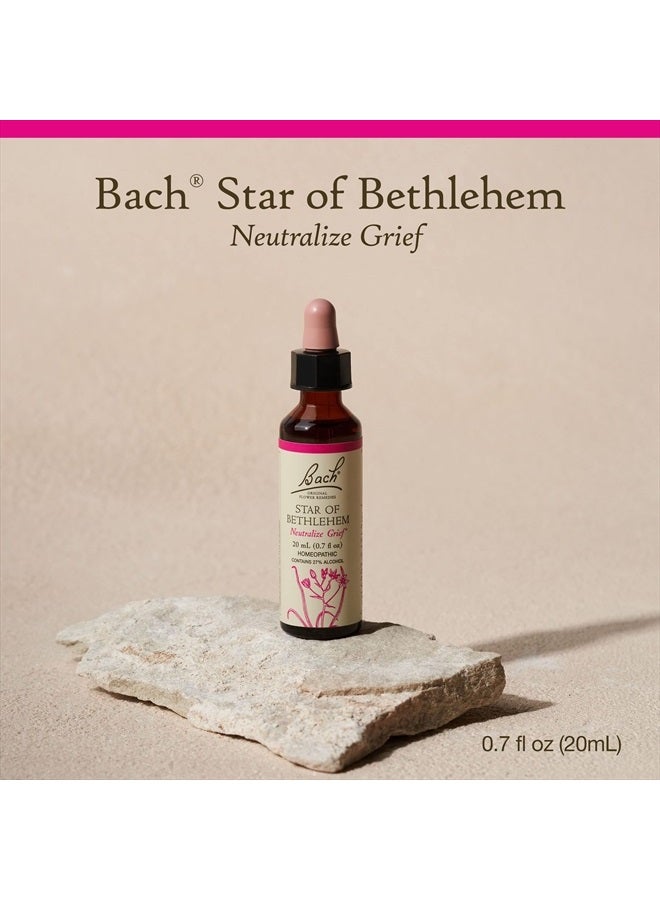 Bach Original Flower Remedies, Star of Bethlehem for Grief and Shock, Natural Homeopathic Flower Essence, Holistic Wellness, Vegan, 20mL Dropper  - Image 2