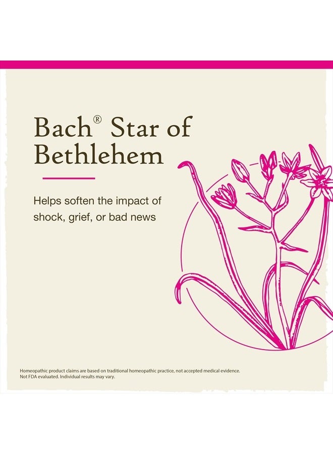 Bach Original Flower Remedies, Star of Bethlehem for Grief and Shock, Natural Homeopathic Flower Essence, Holistic Wellness, Vegan, 20mL Dropper  - Image 3