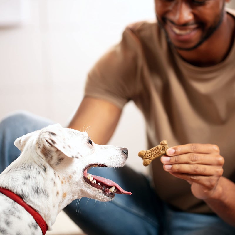 Milk-Bone Flavor Snacks Dog Treats, Small Biscuits, 24 Ounce Crunchy Texture Helps Reduce Tartar - Image 4
