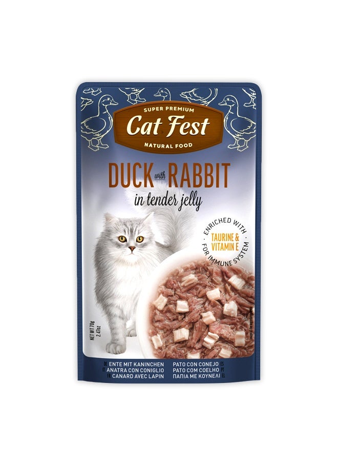 Cat Fest بط مع أرنب في جيلي طري للقطط - 70غ - Image 1