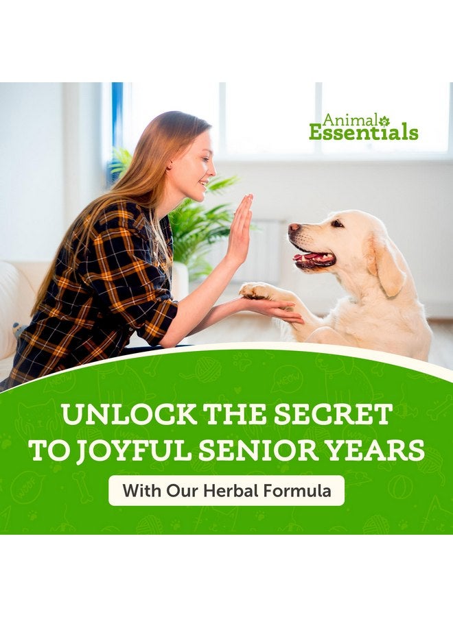 Animal Essentials Senior Support for Dogs & Cats Supplement - Milk Thistle, For Old Cats & Dogs, Pet Kidney Support, Herbal Supplement - 2 Fl Oz - Image 2