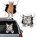 Mimeile Car Cat Decal Crack Pet Stickers Window Clings Vinyl 2 PCS American Cat Funny Animal Auto Static Sticker DIY Gifts for Car Truck Home Decoration - Image 2