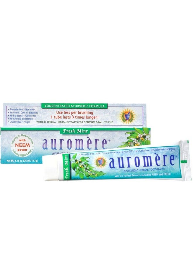 Auromere - Auromere Ayurvedic Herbal Toothpaste, Fresh Mint - Vegan, Natural, Non GMO, Fluoride Free, Gluten Free, with Neem & Peelu (4.16 oz), 1 Pack - Image 1