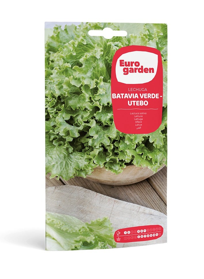 Euro Garden بذور الخس عالية الغلة من Eurogarden Webb'S - زراعة الخس اللذيذ طوال الموسم 5G  - Image 1