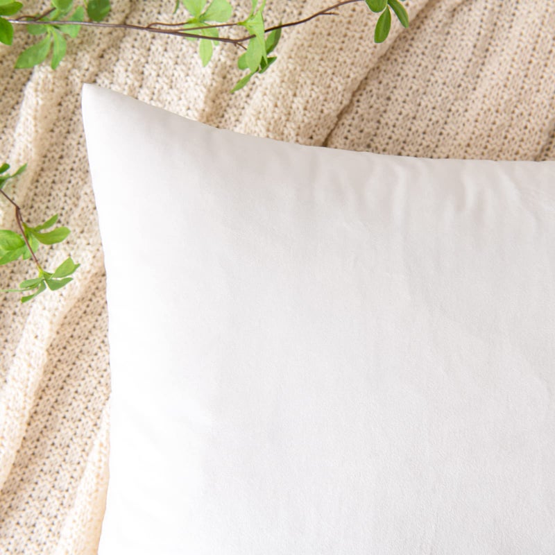 EMEMA Pack of 2 Velvet Throw Pillow Covers Decorative Square Pillowcase Soft Solid Cushion Case for Sofa Bedroom Chair Car 20x20 Inch White - Image 2