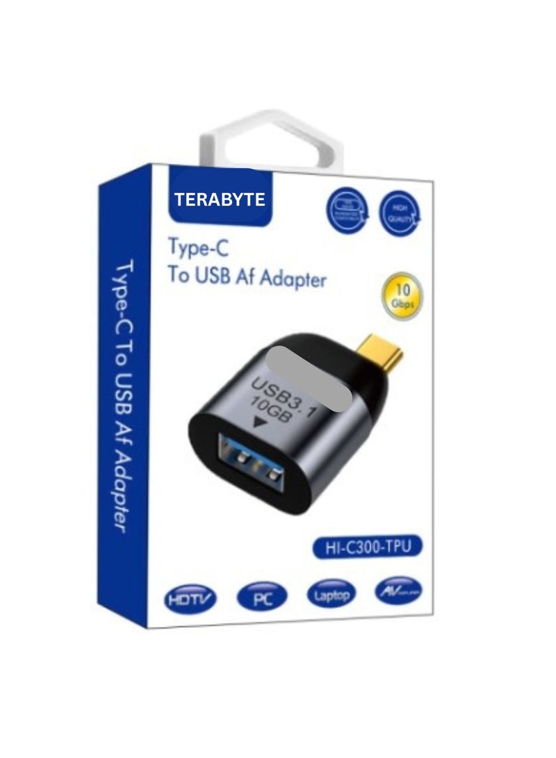 Terabyte Type-C to USB Af Adapter - Image 1