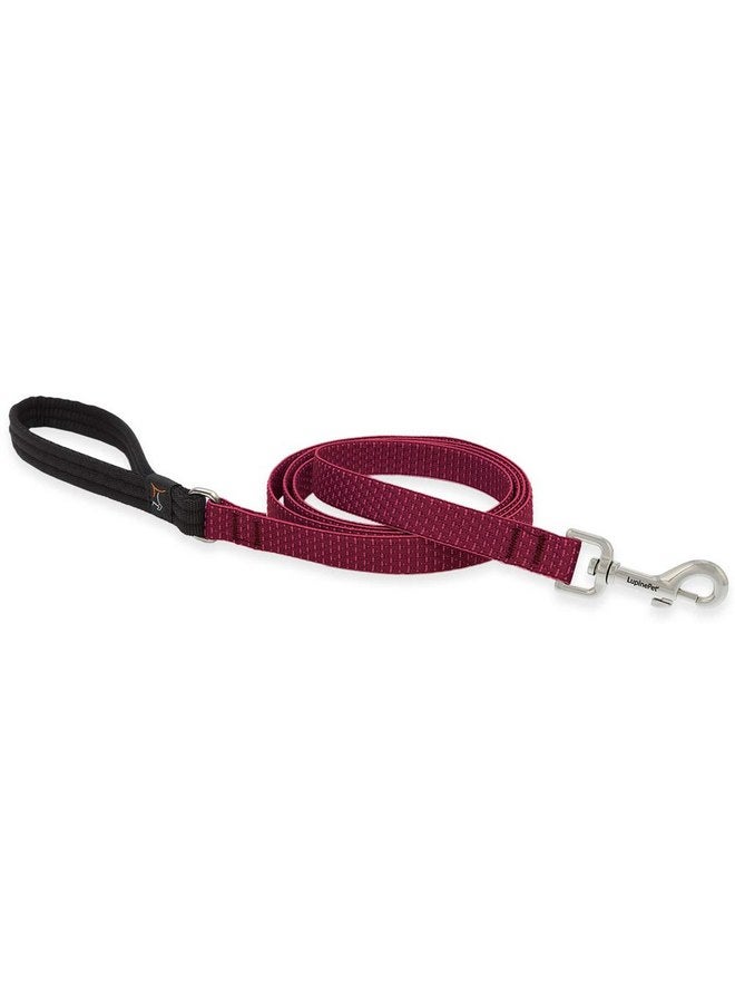 Dog Leash by Lupine ECO Collection 3/4" Wide Berry 4-Foot Long with Padded Handle