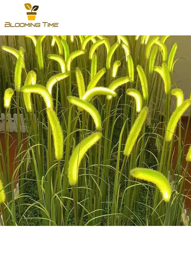 BLOOMING TIME Two Solar Dog Tail Grass Lights, Outdoor Waterproof Courtyard Garden Lawn Lights, Simulation Dog Tail Atmosphere, Decorative Ground Plug Landscape Lights - Image 3