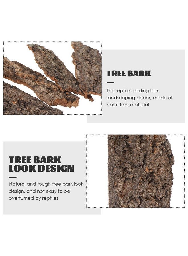 balacoo Terrarium Tree Bark: 12pcs Reptile Bark Decoration Natural Cork Bark Backdrop Reptile Tank Background Leopard Cork Bark - Tarantula Enclosure Accessories - Image 3