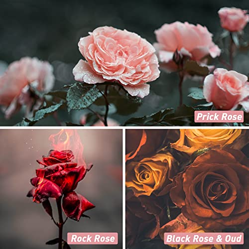 ESSLUX Rose Fragrance Oil, ESSLUX Premium Floral Scented Oils for Diffuser, Soap Candle Making Scents, Rose Essential Oils Gift Set for Home Fragrance - Bulgarian Rose, Black Rose & Oud, Rock Rose and More - Image 3