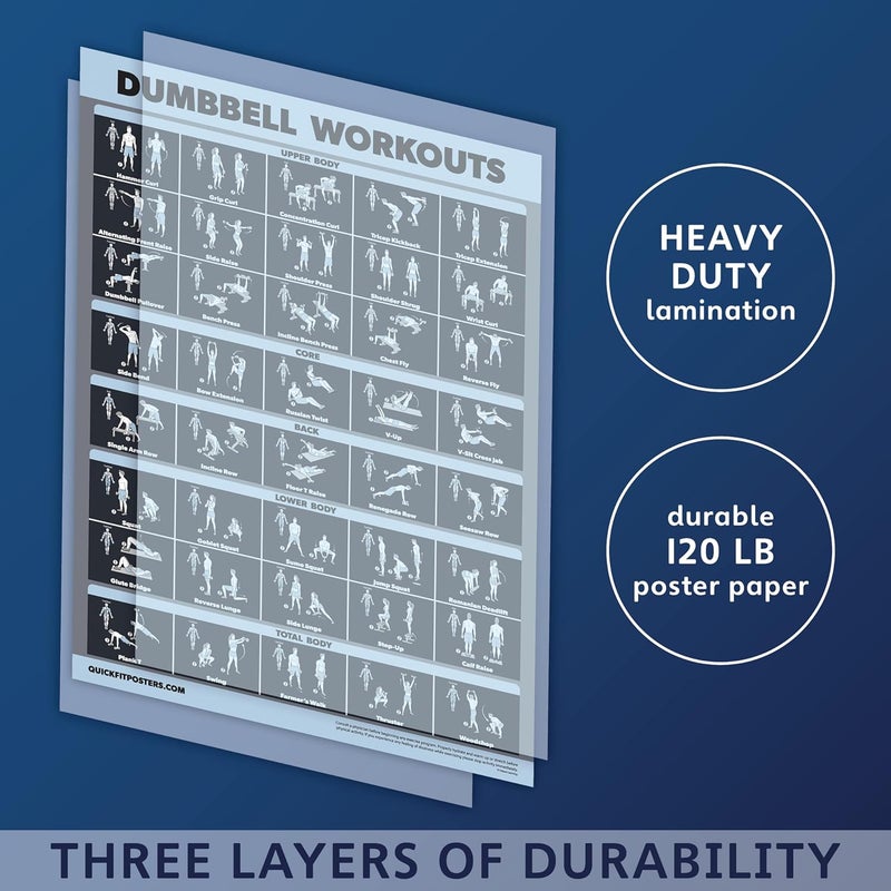 Palace Learning Dumbbell Workout Exercise Poster [Dark] (LAMINATED, 18" x 24") - Image 5