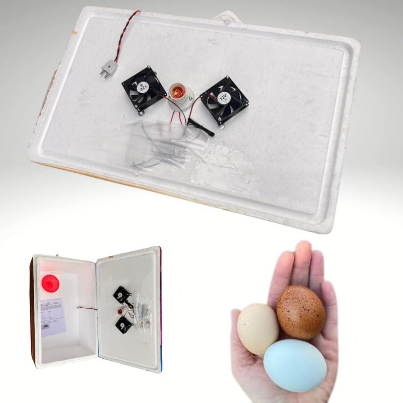 HUMBE&CO - Save Trees, Save Earth HUMBE&CO 100 بيضة حاضنة بيض شبه أوتوماتيكية لجودة الفقس جسم EPS ثيرموكول مع 1.5 مغذي و 1.5 لتر شارب مجموع 2 قطع مجانية - Image 3