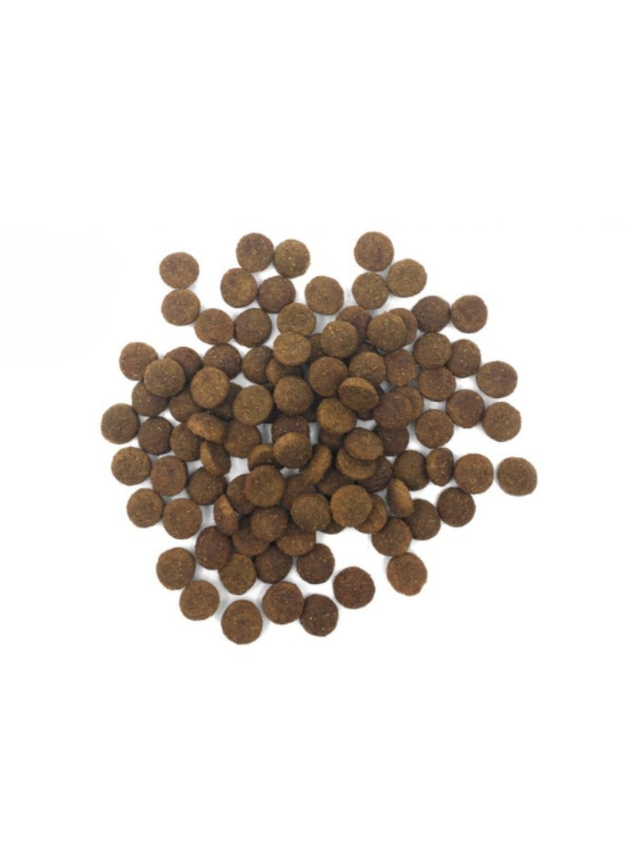 1st Choice Dental Health All Breeds Chicken Formula For Adult Dry Dog Food 12kg - Image 3