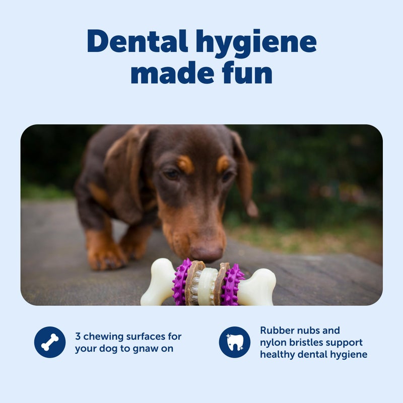 PetSafe Busy Buddy Bristle Bone Dog Chew Toy - Promotes Dental Health - Durable Nylon & Rubber - Treat Dispensing Design - Interactive Play - Refillable Treat Rings Included - Image 3