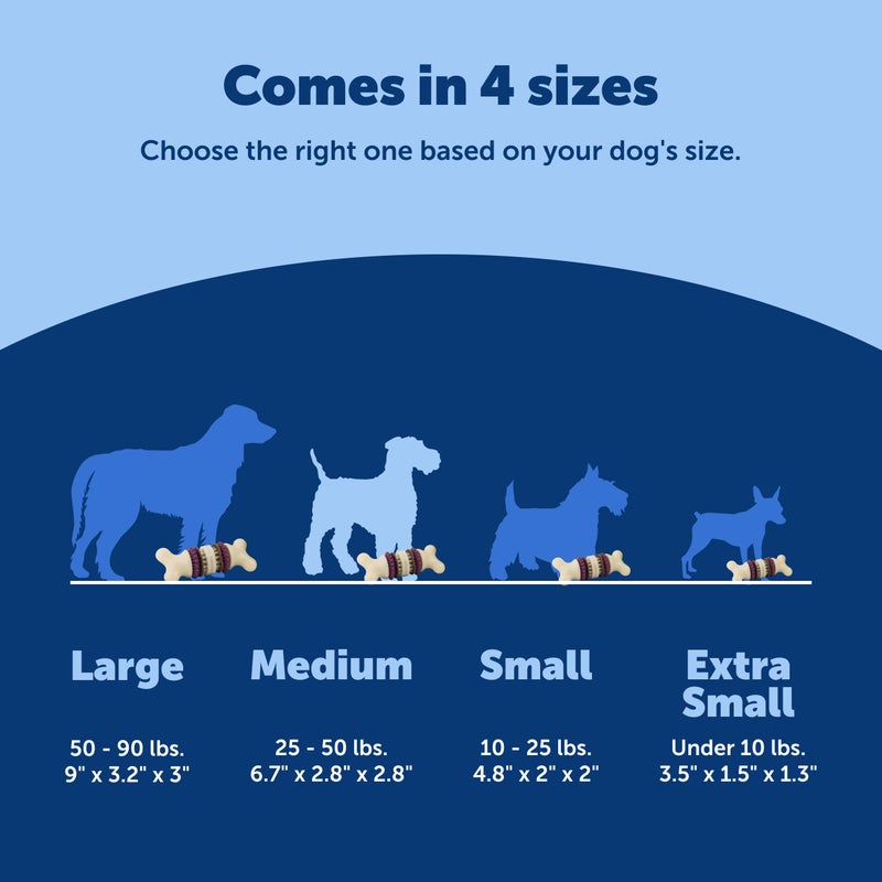 PetSafe Busy Buddy Bristle Bone Dog Chew Toy - Promotes Dental Health - Durable Nylon & Rubber - Treat Dispensing Design - Interactive Play - Refillable Treat Rings Included - Image 5