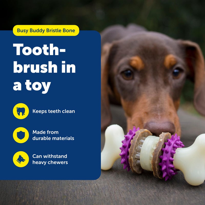 PetSafe Busy Buddy Bristle Bone Dog Chew Toy - Promotes Dental Health - Durable Nylon & Rubber - Treat Dispensing Design - Interactive Play - Refillable Treat Rings Included - Image 2