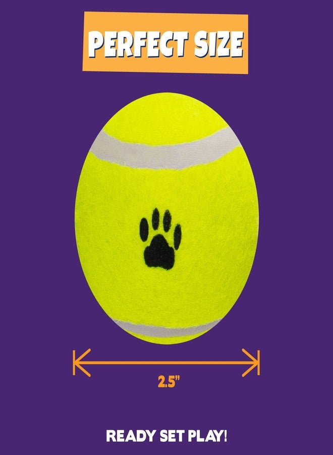 Pet Factory 2-Pack Logical Pet 2.5" Tennis Balls Dog Toy Set - Fluorescent Yellow, Set of 2 - Image 3