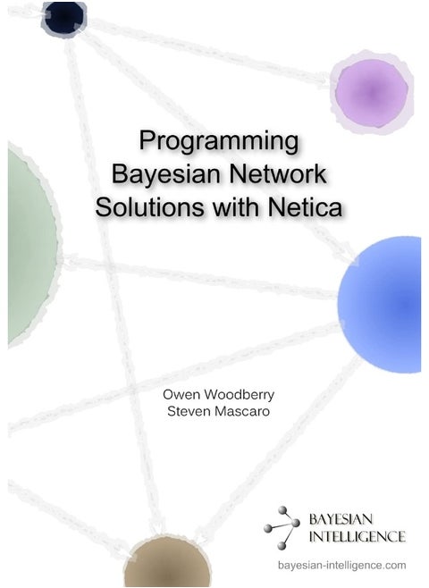 Programming Bayesian Network Solutions with Netica