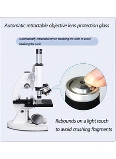 Gasin 50000X Digital Microscope – High Magnification USB Microscope with Adjustable LED Light  - Image 2