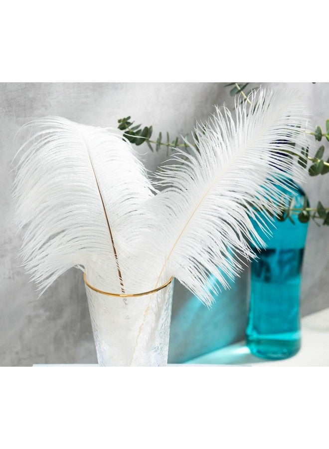 Piokio 20 Pcs Natural White Ostrich Feathers 12 14 Inch(30 35 Cm) Bulk For Diy Clothing And Accessories Wedding Party Centerpieces Gatsby Decorations - Image 5