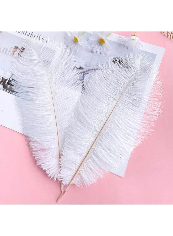 Piokio 20 Pcs Natural White Ostrich Feathers 12 14 Inch(30 35 Cm) Bulk For Diy Clothing And Accessories Wedding Party Centerpieces Gatsby Decorations - Image 2
