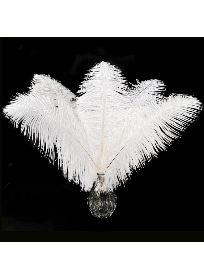 Piokio 20 Pcs Natural White Ostrich Feathers 12 14 Inch(30 35 Cm) Bulk For Diy Clothing And Accessories Wedding Party Centerpieces Gatsby Decorations - Image 1