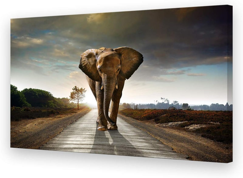 Muolunna D1269 Elephant Canvas Prints Wall Art - Image 1