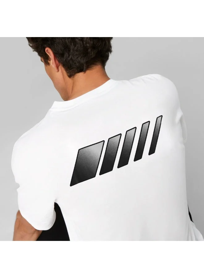AMG Petronas Formula 1 Team  AMG T SHIRT for Men | Best Price UAE