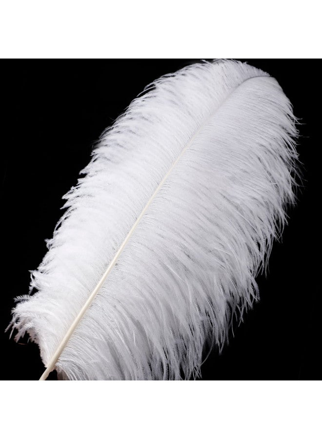Larryhot White Large Ostrich Feathers - 16-18 inch 10pcs Feathers for Vase,Wedding Party Centerpieces and Home Decorations (White) - Image 1