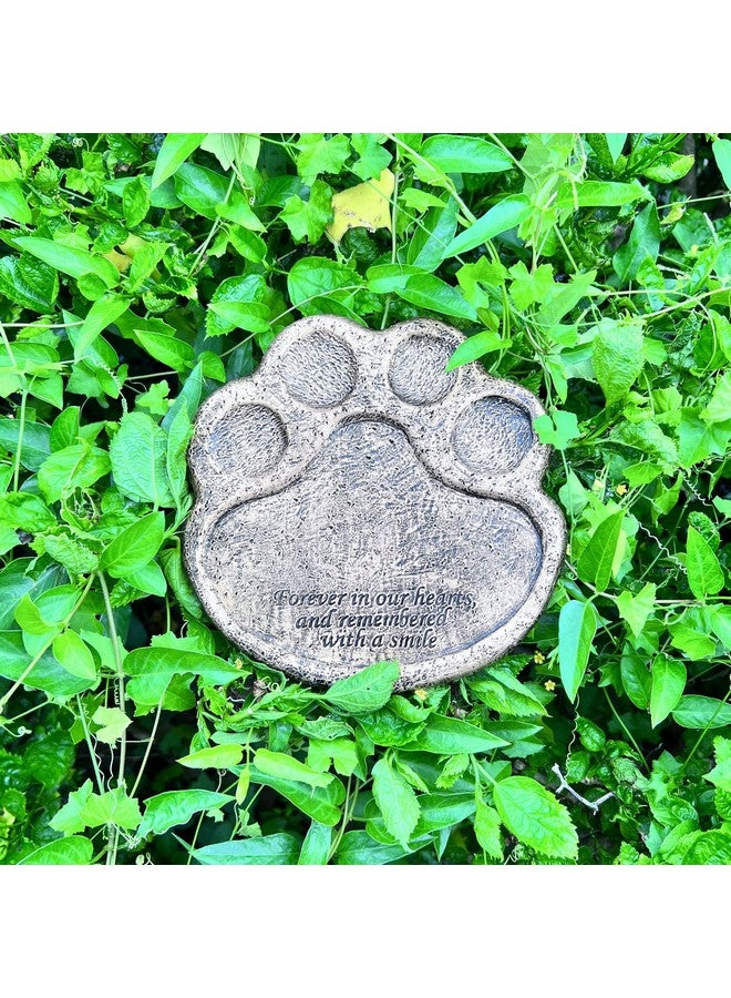 Generic Garden Stepping Stone, Paw of Dog Cat Pet Memorial Stones, Loss of Pet Gift - 7.5" L x 7.5" W x 0.6" D  - Image 4