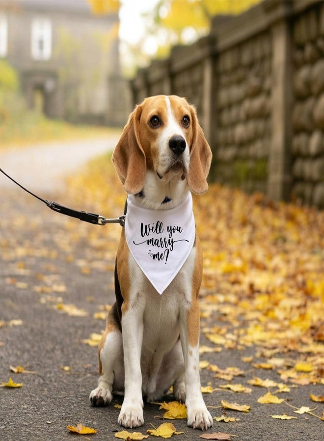 ZPPRJF Will You Marry Me? Engagement Dog Bandana - White, Small to Large Dogs (D72) - Image 5
