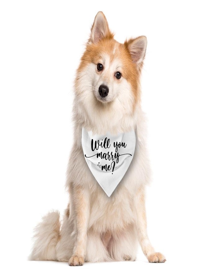 ZPPRJF Will You Marry Me? Engagement Dog Bandana - White, Small to Large Dogs (D72) - Image 2