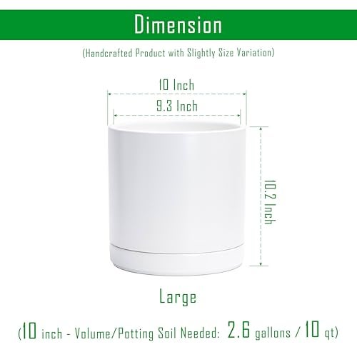 D'vine Dev 10 Inch Ceramic Planter Pot with Drainage Hole and Saucer, Indoor Cylinder Round Planter Pot, White, 94-O-E-1 - Image 3