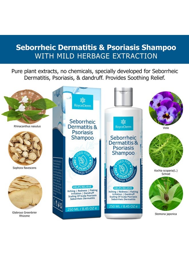 Roycederm - Oycederm Psoriasis Shampoo Seborrheic Dermatitis Shampoo Folliculitis Shampoo Dandruff Shampoo Scalp Psoriasis Treatment Seborrheic Dermatitis Treatment Dry Itchy Scalp Treatment - Image 1