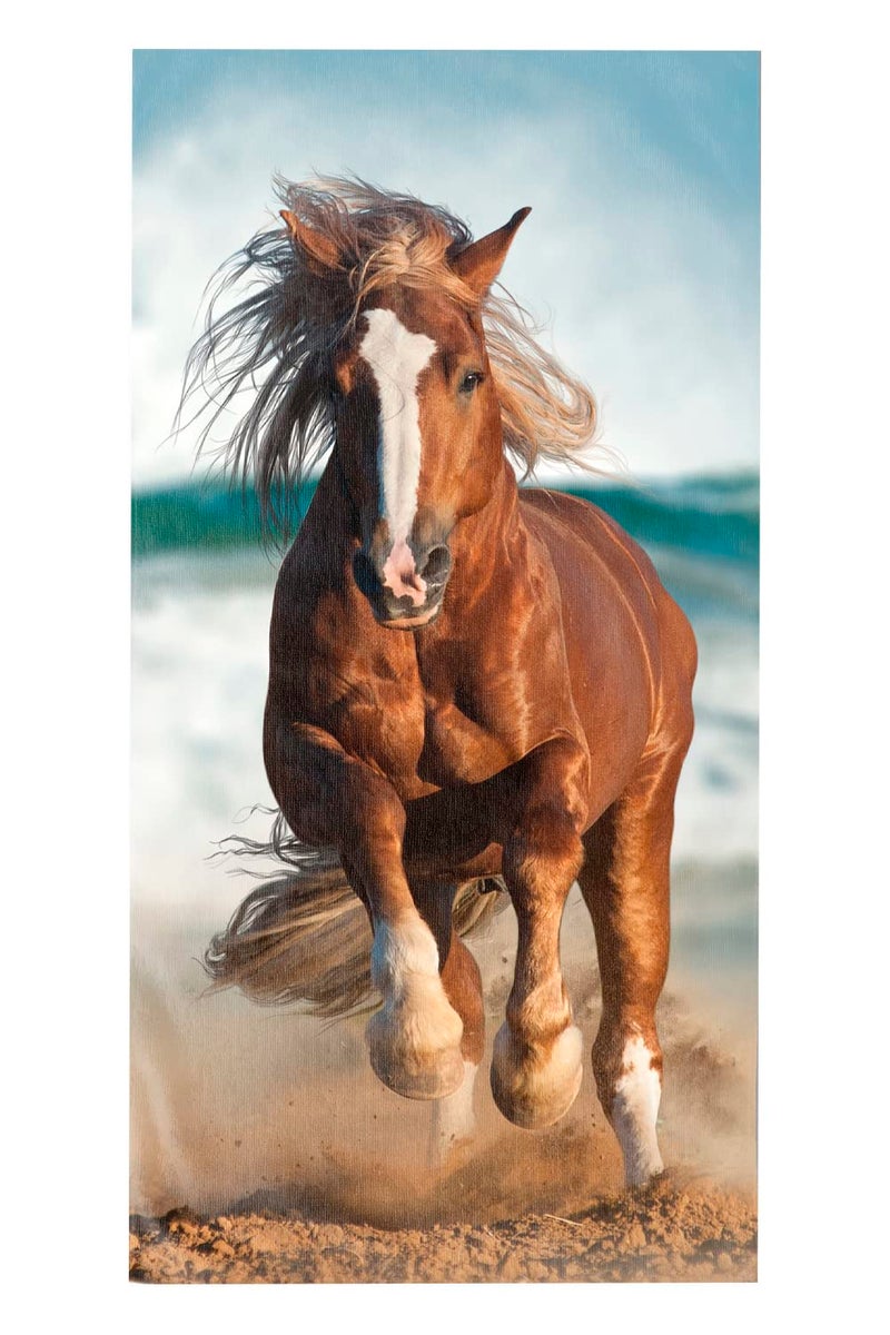 Island Gear Profile 30x60 100 Cotton Velour Beach Towel