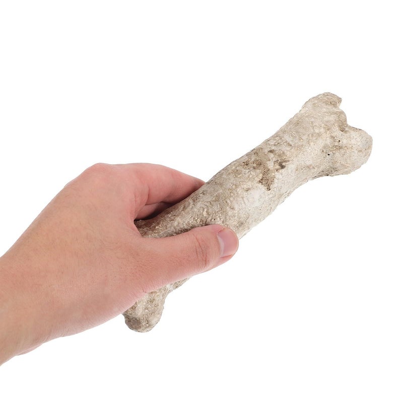 Resin Reptile Hideout Cave Small Animal Shelter for Terrarium Decor Indoor Pet House Habitat - Image 4