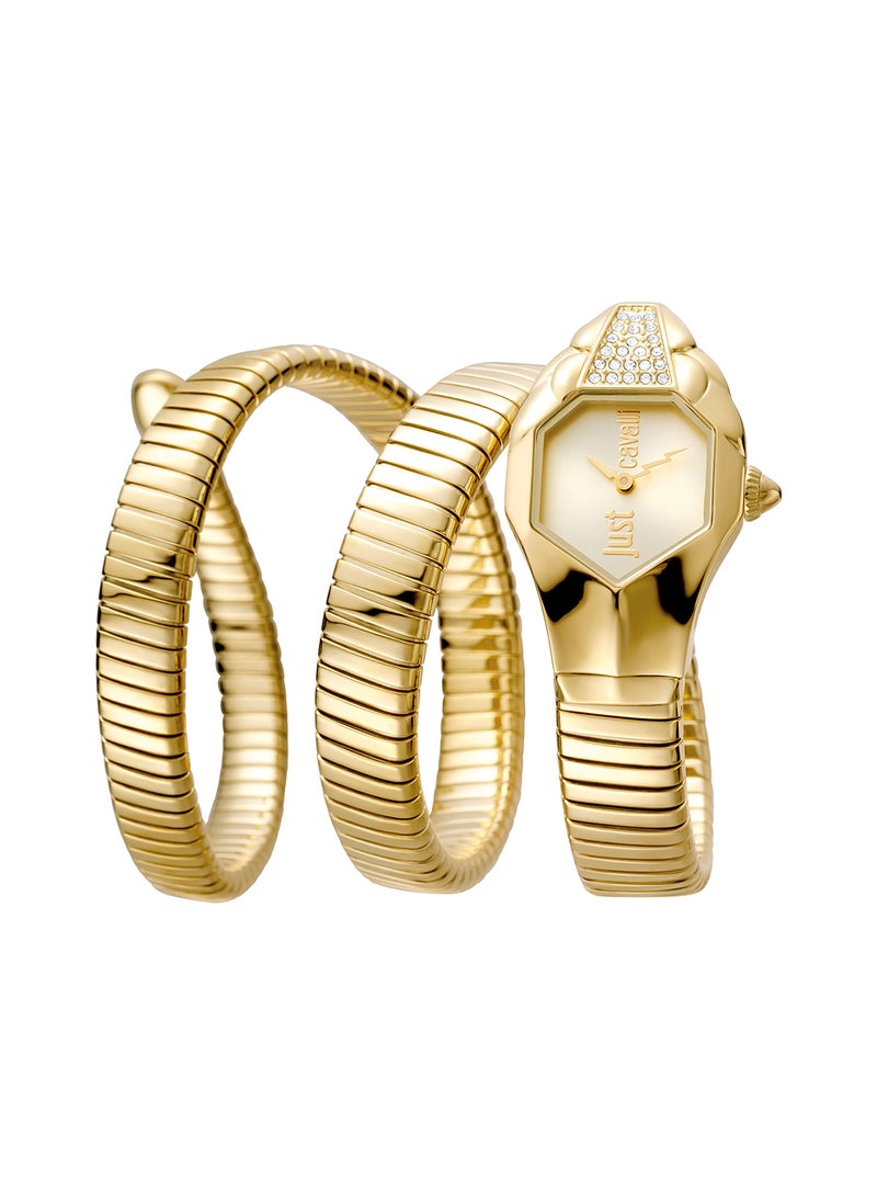 Just Cavalli Women's Analog Hexagon Shape Stainless Steel Wrist Watch JC1L022M0025 - 22 Mm  - Image 1