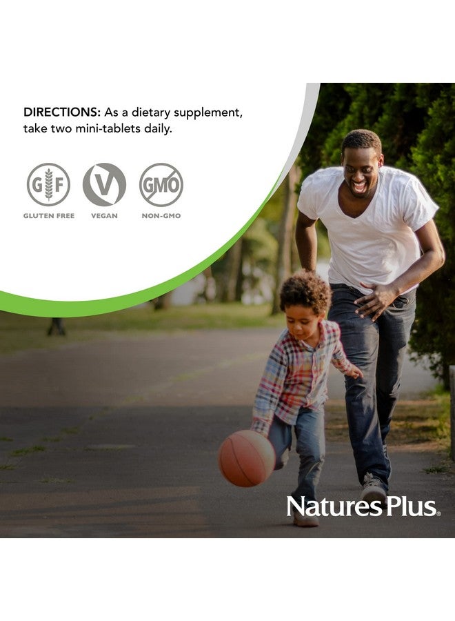 NaturesPlus ناتشرز بلس هيما-بليكس حديد - 60 قرص صغير بطيء الإطلاق - 85 ملغ حديد مخلب - صحة الدم الكاملة - مع فيتامين C وبيوفلافونويدز - نباتي، خالي من الغلوتين - 30 حصة - Image 5