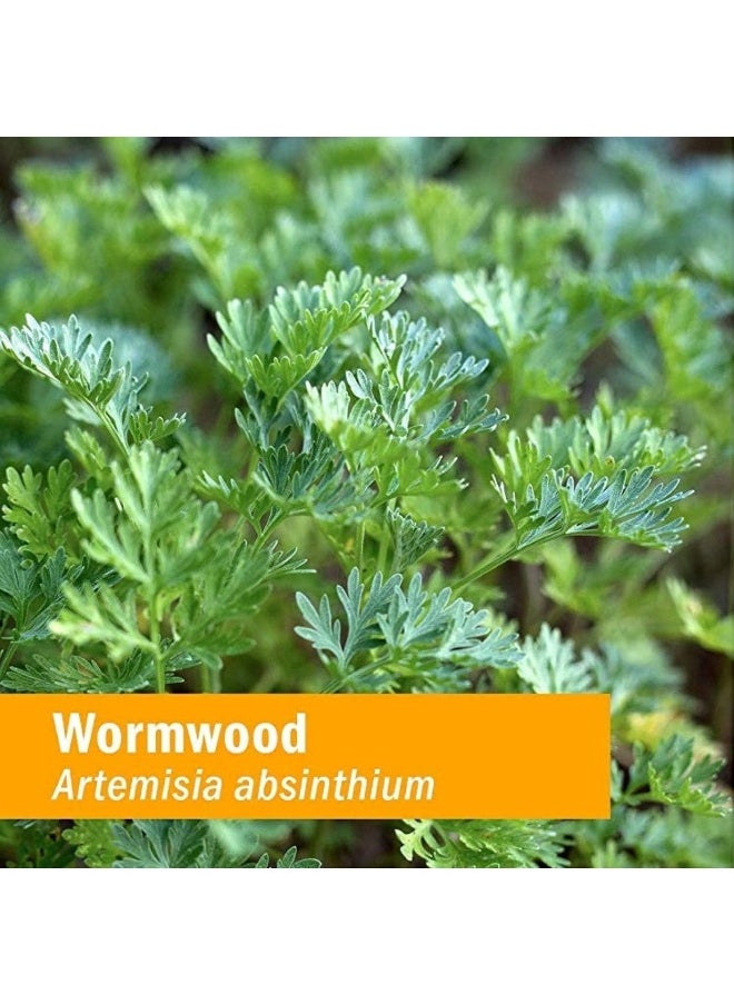 HERB PHARM - Certified Organic Wormwood Liquid Extract For Digestive System Support 1 Ounce - Image 1