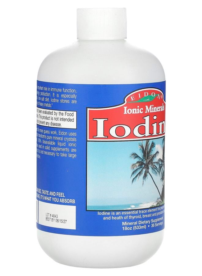Eidon Ionic Minerals Ionic Minerals Iodine 18 oz (533 ml) (150 mcg per Serving) - Image 2