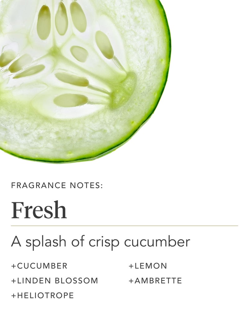 Zents Age-Defying Probiotic Body & Hand Lotion (Fresh) | Moisturizing Lotion with Hyaluronic Acid & Organic Shea Butter | Nourishes & Hydrates Skin | 6.4 fl oz - Image 4