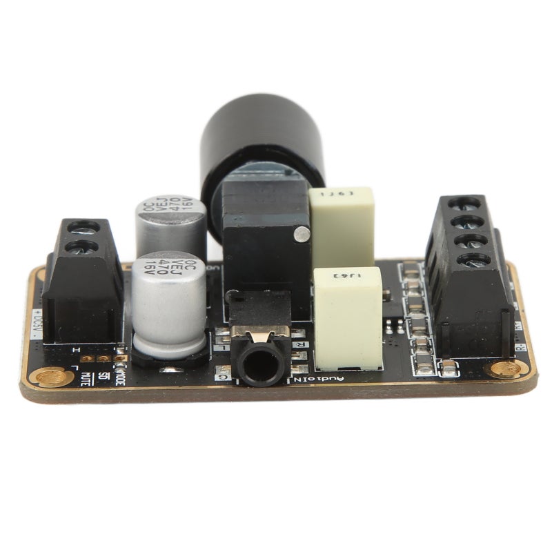 Class D Power Amplifier Board 5W Stereo DC 5V Black Gold PCB - KEMET Capacitors Full Protection Digital Amplifier Module for LCD TVs Multimedia Speakers - Image 4