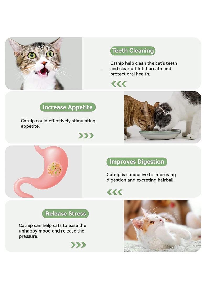 KASTWAVE 4 قطع لعبة كرة النعناع للقطط، شكل مخلب القط على الحائط لعبة نعناع طبيعية نقية أوراق نعناع دوارة مناسبة داخلية توصيل على الحائط لعبة مضغ للقطط لتنظيف أسنان القطط - Image 3