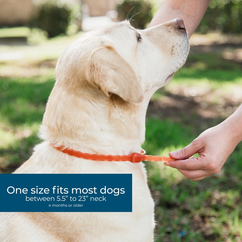 Wondercide Dog Collar - Flea, Tick, and Mosquito Repellent for Dogs - with Natural Essential Oils - Up to 4 Months Protection - Small Medium - Image 3
