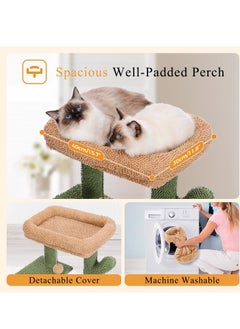 Alissa 104 cm Cactus Cat Tower with Sisal Covered Scratching Post and Cozy Condo for Indoor Cats Cat Climbing Stand with Plush Perch & Soft Hammock for Multi Level Cat Play House 41"  - Image 4
