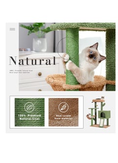 Alissa 104 cm Cactus Cat Tower with Sisal Covered Scratching Post and Cozy Condo for Indoor Cats Cat Climbing Stand with Plush Perch & Soft Hammock for Multi Level Cat Play House 41"  - Image 2