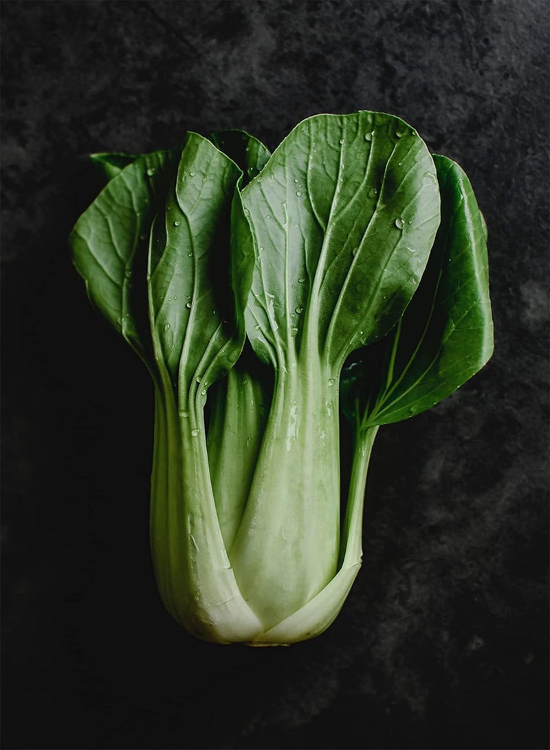 GGOOT Pak Choi Plug Plants "Grow Your Own" Salad Plants (6) - Image 1