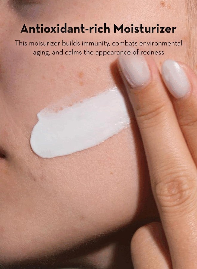 SONAGE High Endurance Cream: Anti-Aging Moisturizer | Firming Night Cream Soothes Redness - Image 2